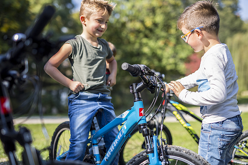 学生自行车什么牌子好全球10大儿童自行车品牌排行榜